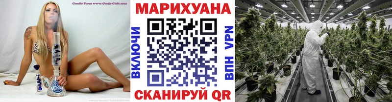МАРИХУАНА семена  Палласовка 